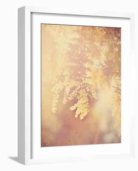 Tree in Bloom-Myan Soffia-Framed Photographic Print