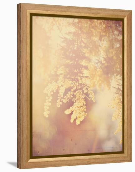 Tree in Bloom-Myan Soffia-Framed Premier Image Canvas