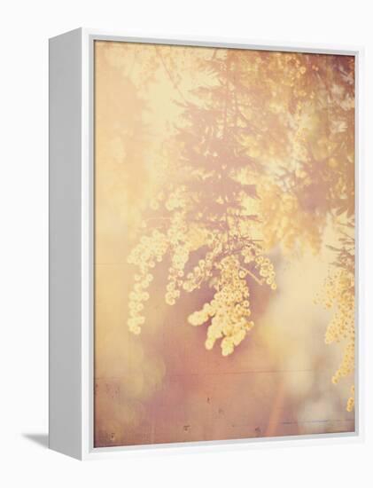 Tree in Bloom-Myan Soffia-Framed Premier Image Canvas