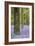 Tree in Bluebell Forest, Ashridge, Hertfordshire, England-David Clapp-Framed Photographic Print