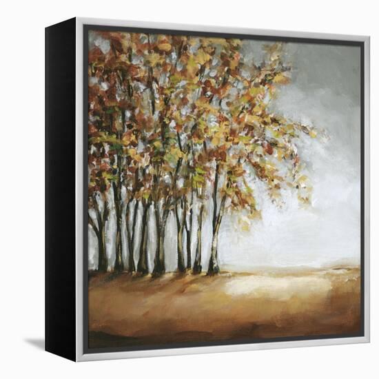 Tree in Fall-Christina Long-Framed Stretched Canvas