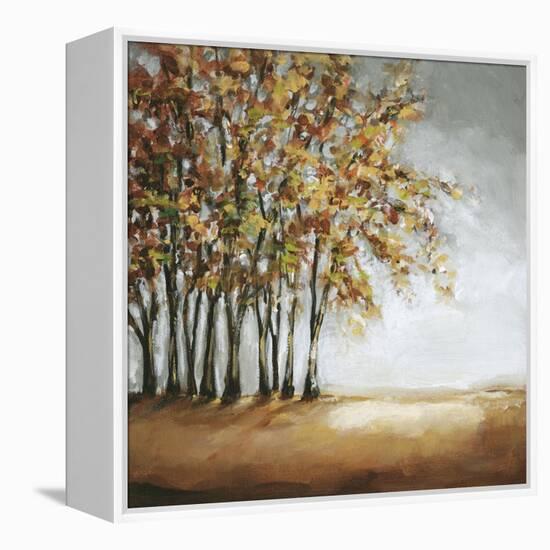 Tree in Fall-Christina Long-Framed Stretched Canvas