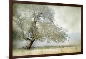 Tree in Field of Flowers-Mia Friedrich-Framed Photographic Print
