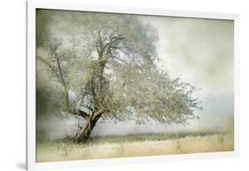 Tree in Field of Flowers-Mia Friedrich-Framed Photographic Print