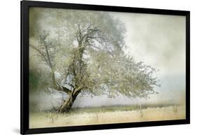 Tree in Field of Flowers-Mia Friedrich-Framed Photographic Print