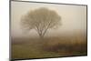 Tree in Field-David Winston-Mounted Giclee Print