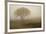 Tree in Field-David Winston-Framed Art Print