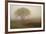 Tree in Field-David Winston-Framed Art Print