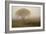 Tree in Field-David Winston-Framed Art Print