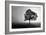 Tree in Mist-PhotoINC Studio-Framed Art Print