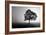 Tree in Mist-PhotoINC Studio-Framed Art Print