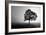 Tree in Mist-PhotoINC Studio-Framed Art Print