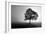 Tree in Mist-PhotoINC Studio-Framed Art Print