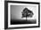 Tree in Mist-PhotoINC Studio-Framed Art Print