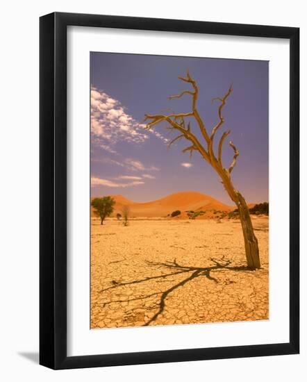 Tree in Namib Desert, Namibia-Walter Bibikow-Framed Photographic Print