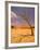 Tree in Namib Desert, Namibia-Walter Bibikow-Framed Photographic Print