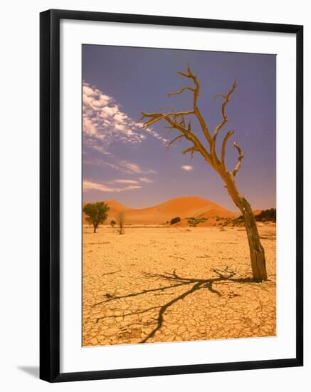 Tree in Namib Desert, Namibia-Walter Bibikow-Framed Photographic Print