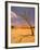 Tree in Namib Desert, Namibia-Walter Bibikow-Framed Photographic Print