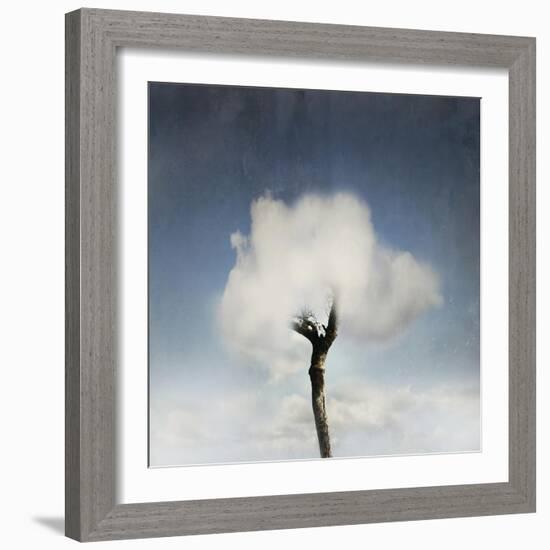 Tree In The Cloud-ValentinaPhotos-Framed Art Print