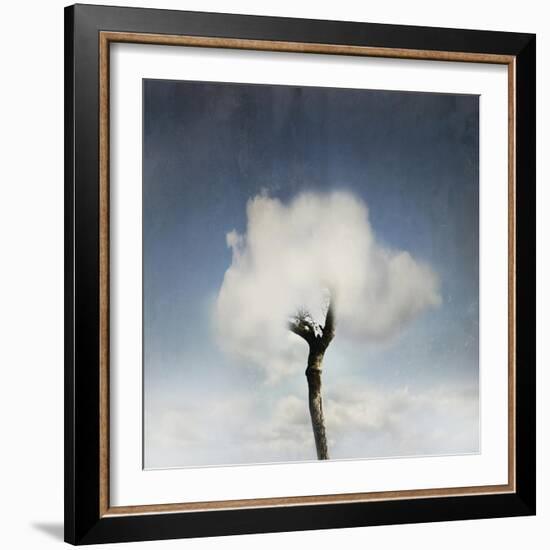 Tree In The Cloud-ValentinaPhotos-Framed Art Print