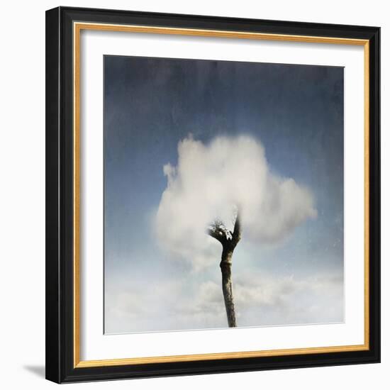 Tree In The Cloud-ValentinaPhotos-Framed Art Print