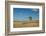 Tree in the Flint Hills of Kansas-Michael Scheufler-Framed Photographic Print