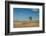 Tree in the Flint Hills of Kansas-Michael Scheufler-Framed Photographic Print