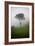 Tree in the Fog Machu Picchu Peru-null-Framed Photo