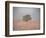 Tree in the fog-Michael Scheufler-Framed Photographic Print