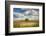 Tree in the middle of a plowed field-Michael Scheufler-Framed Photographic Print