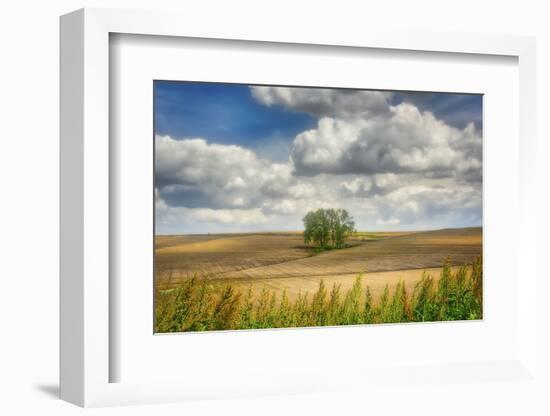 Tree in the middle of a plowed field-Michael Scheufler-Framed Photographic Print