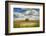 Tree in the middle of a plowed field-Michael Scheufler-Framed Photographic Print