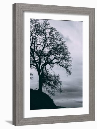 Tree in the Sky, Black and White Mount Diablo, Walnut Creek Danville-Vincent James-Framed Photographic Print