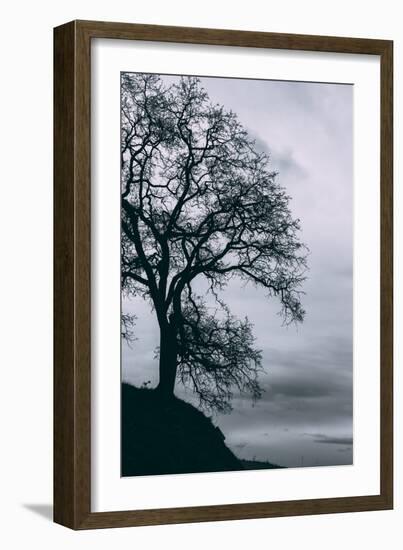 Tree in the Sky, Black and White Mount Diablo, Walnut Creek Danville-Vincent James-Framed Photographic Print