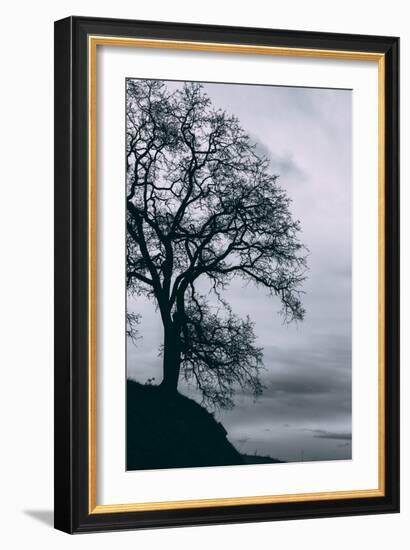 Tree in the Sky, Black and White Mount Diablo, Walnut Creek Danville-Vincent James-Framed Photographic Print