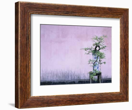 Tree in Vase and Pink Wall-Paul Souders-Framed Photographic Print