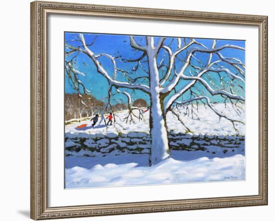 Tree in Winter, Newhaven, Derbyshire, 2017-Andrew Macara-Framed Giclee Print