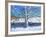 Tree in Winter, Newhaven, Derbyshire, 2017-Andrew Macara-Framed Giclee Print