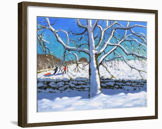 Tree in Winter, Newhaven, Derbyshire, 2017-Andrew Macara-Framed Giclee Print