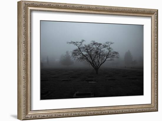 Tree in Winter-Sharon Wish-Framed Photographic Print