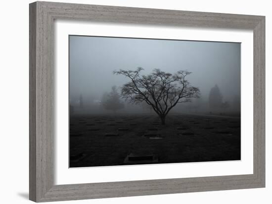 Tree in Winter-Sharon Wish-Framed Photographic Print