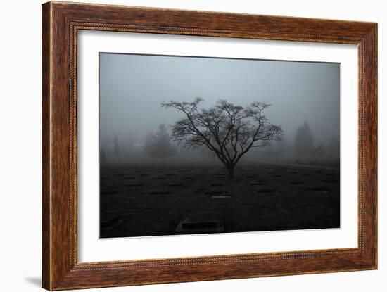 Tree in Winter-Sharon Wish-Framed Photographic Print