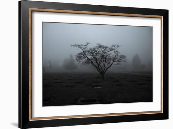 Tree in Winter-Sharon Wish-Framed Photographic Print