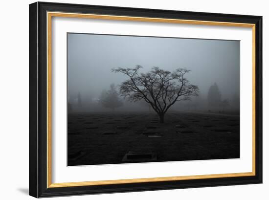 Tree in Winter-Sharon Wish-Framed Photographic Print
