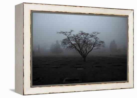 Tree in Winter-Sharon Wish-Framed Premier Image Canvas