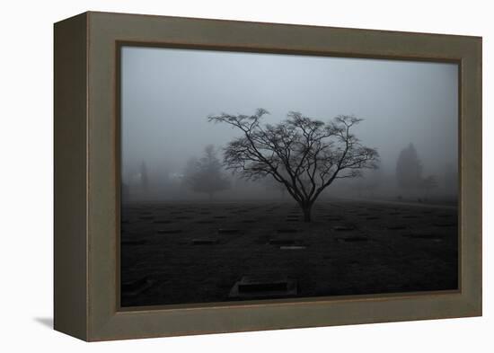 Tree in Winter-Sharon Wish-Framed Premier Image Canvas