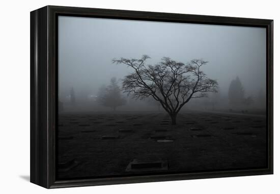 Tree in Winter-Sharon Wish-Framed Premier Image Canvas