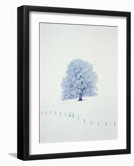 Tree in winter-Herbert Kehrer-Framed Photographic Print