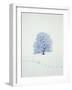 Tree in winter-Herbert Kehrer-Framed Photographic Print