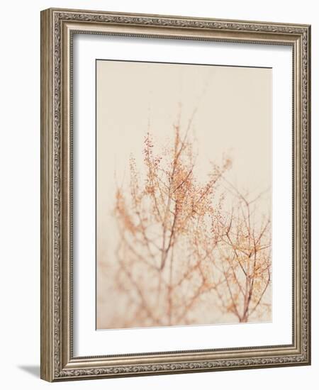 Tree in Winter-Myan Soffia-Framed Photographic Print